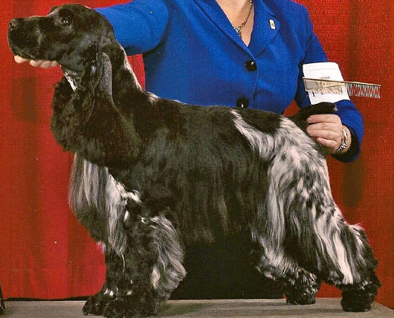 Dug2.jpg